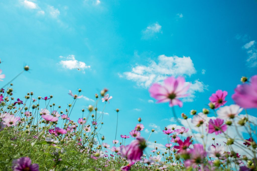 chi-liu-l-rtCtc_4c0-unsplash-1-1024x683 chi-liu-l-rtCtc_4c0-unsplash-1-1024x683