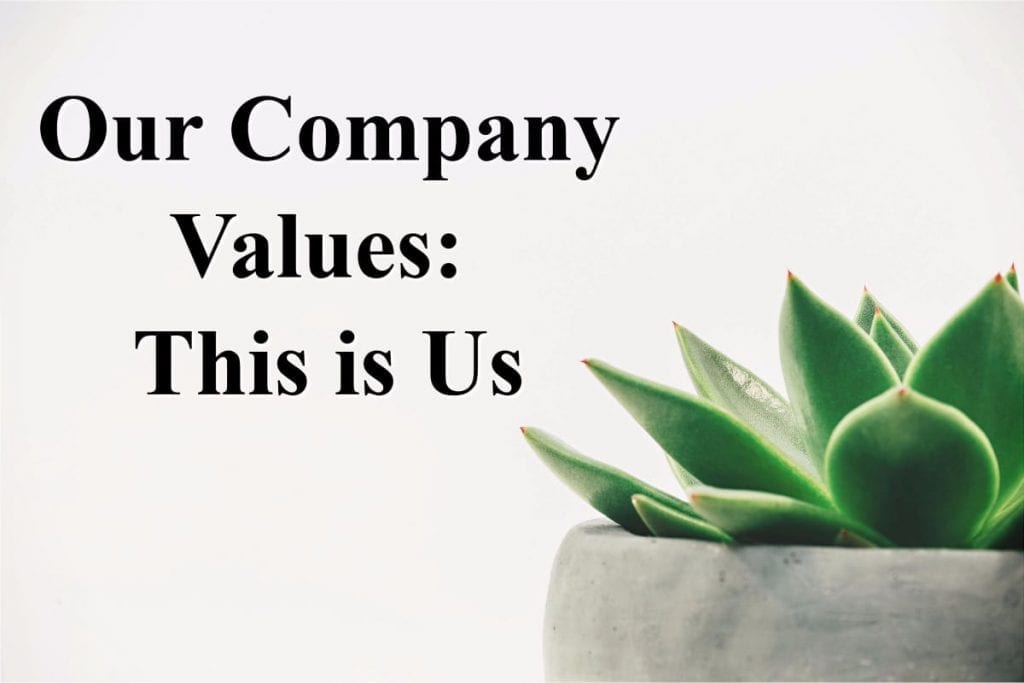 Our-Company-Values-Default-1024x683-1