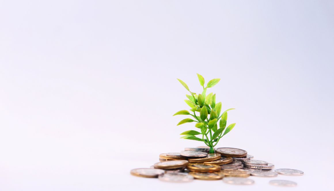 How To Build Your Own Retirement Plan Diversified LLC